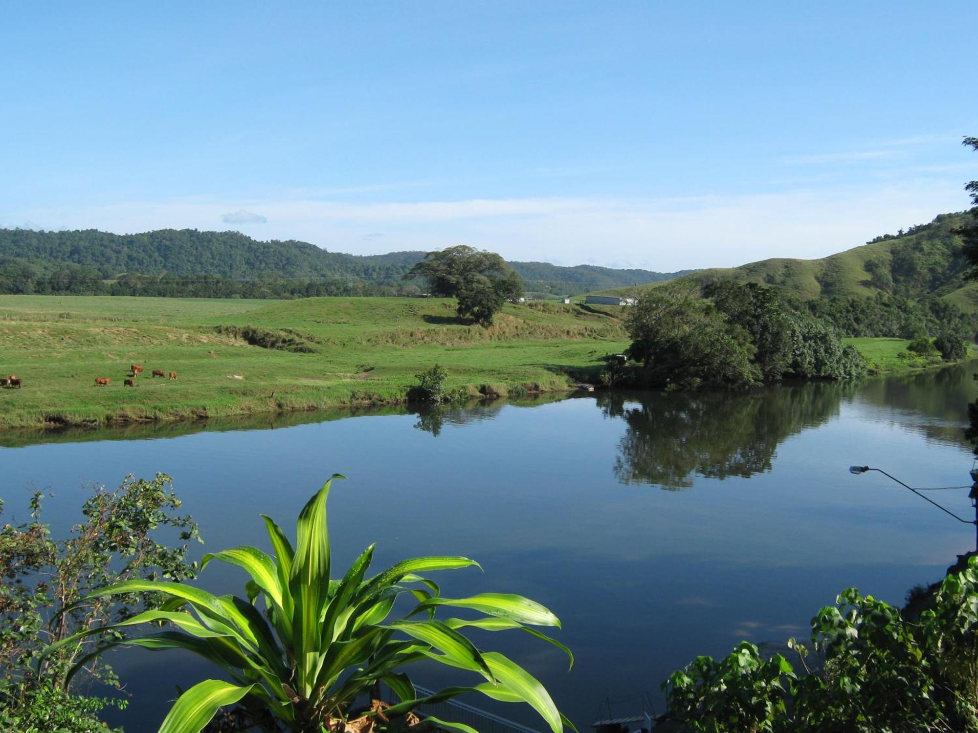 Daintree Riverview Lodges Exteriör bild