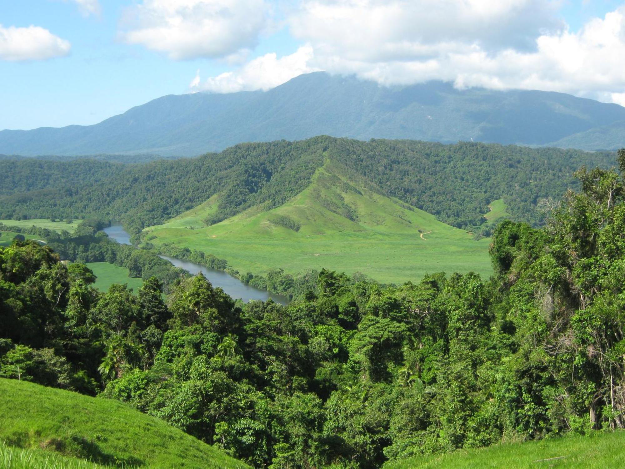 Daintree Riverview Lodges Exteriör bild